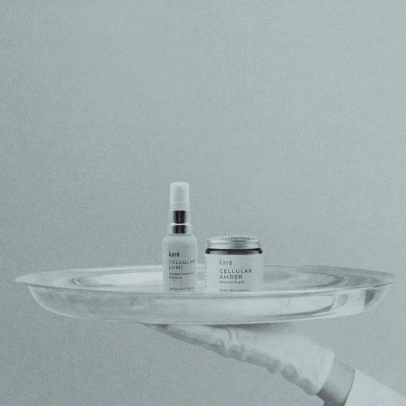 Longevity Blueprint Ritual Set